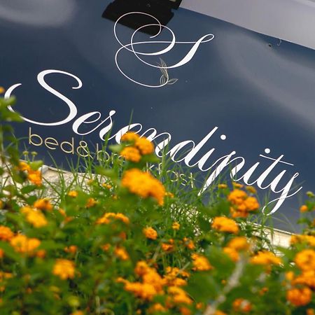 Serendipity B&B Messina Bagian luar foto